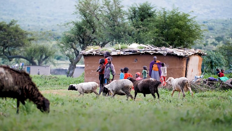 写真：無電化地域でくらす人々が、昼間、家畜と共に屋外で過ごしている